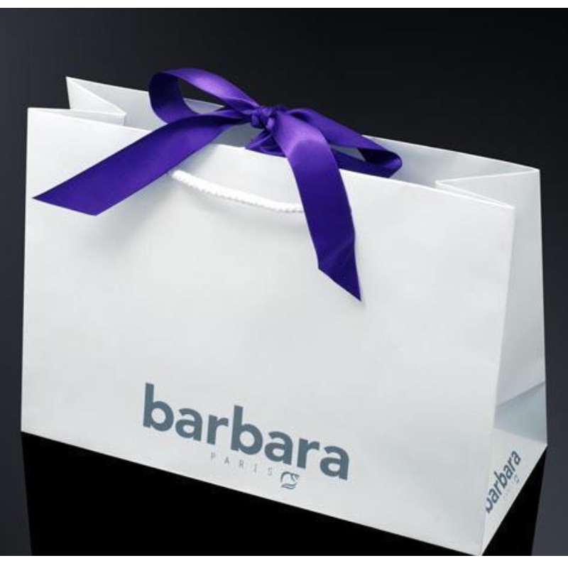 carrier paper gift bag with ribbon handle